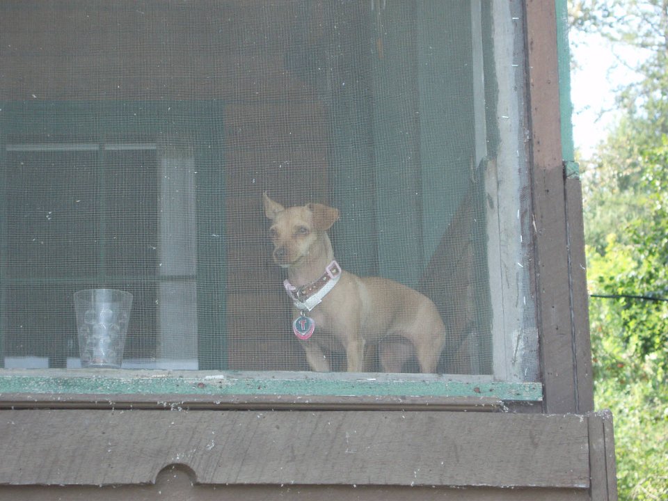 2006 Sandpoint 073