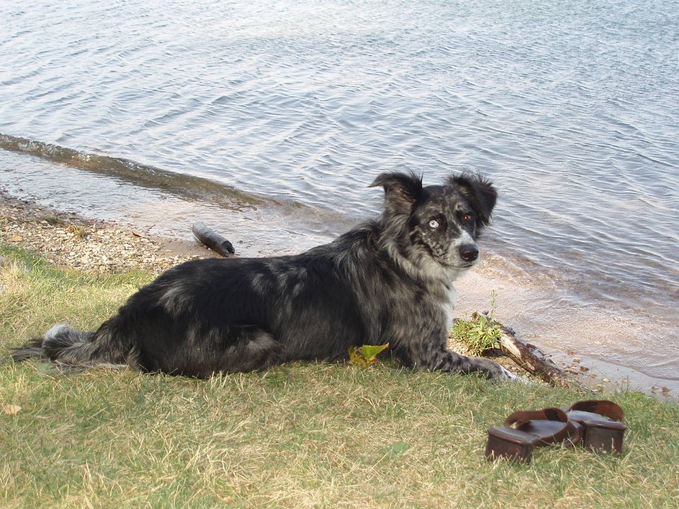 2006 Sandpoint 101