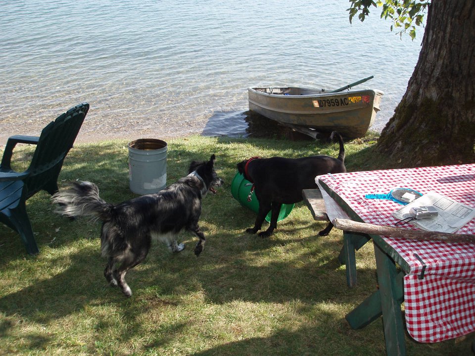 2006 Sandpoint 312