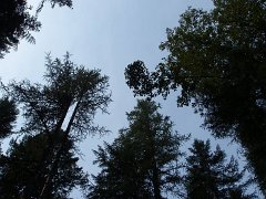 2006 Sandpoint 002