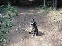 2006 Sandpoint 004