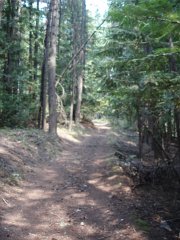 2006 Sandpoint 006