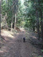 2006 Sandpoint 007