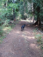 2006 Sandpoint 008