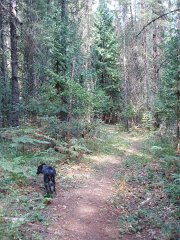 2006 Sandpoint 010