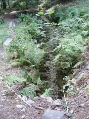 2006 Sandpoint 015
