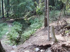 2006 Sandpoint 023