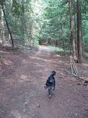 2006 Sandpoint 024