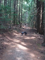 2006 Sandpoint 025
