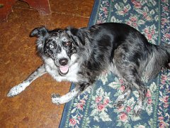 2006 Sandpoint 038