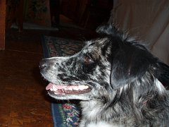 2006 Sandpoint 041