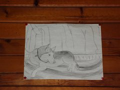 2006 Sandpoint 042