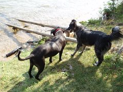 2006 Sandpoint 071