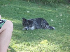 2006 Sandpoint 088