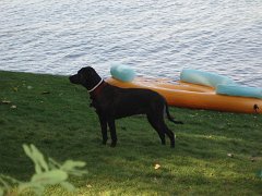 2006 Sandpoint 126
