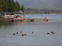2006 Sandpoint 296