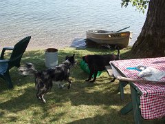 2006 Sandpoint 312