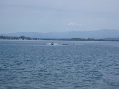 2006 Sandpoint 324