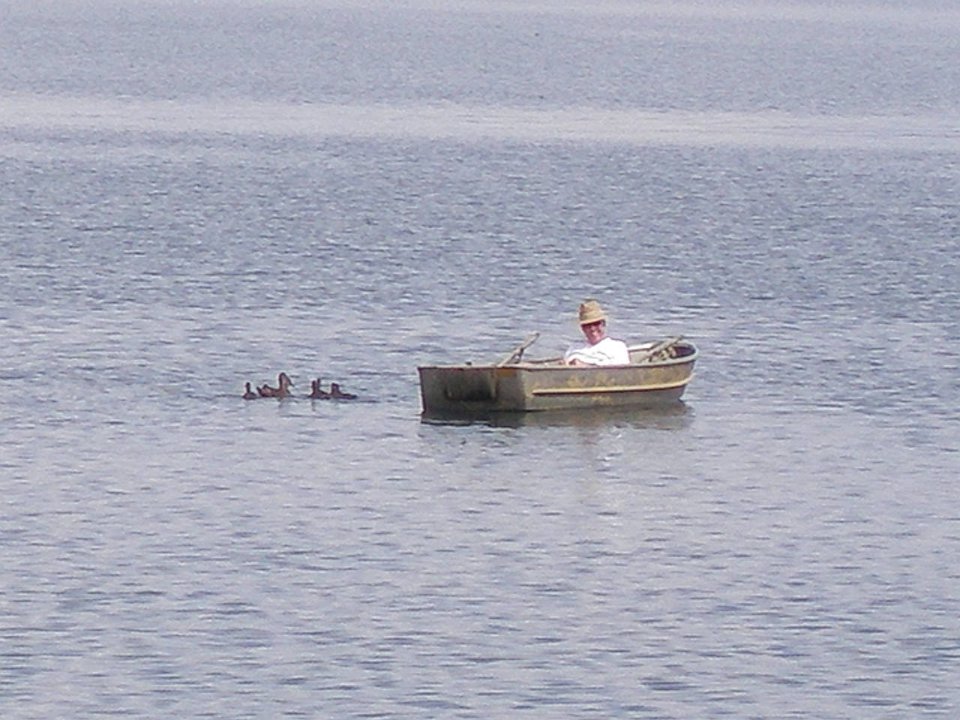 P8273224