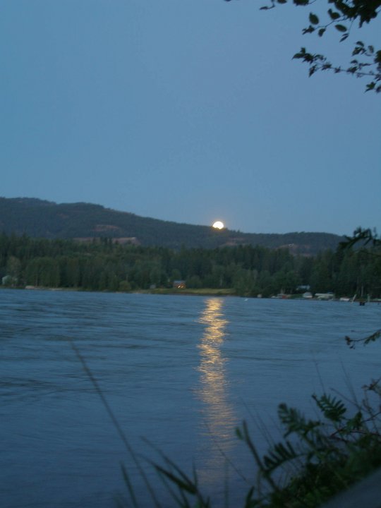 P8273329