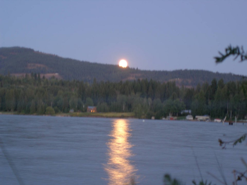 P8273332