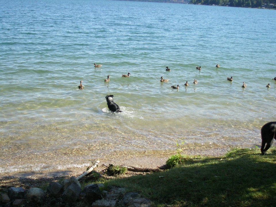 P8285511