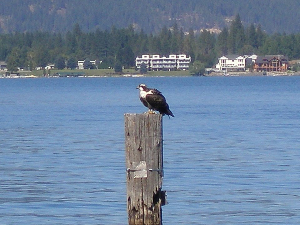 P8293490