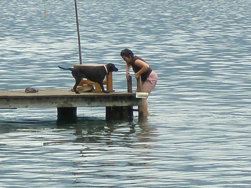 P8303545