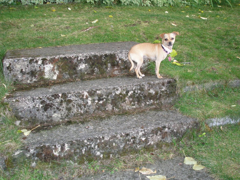 P8313622