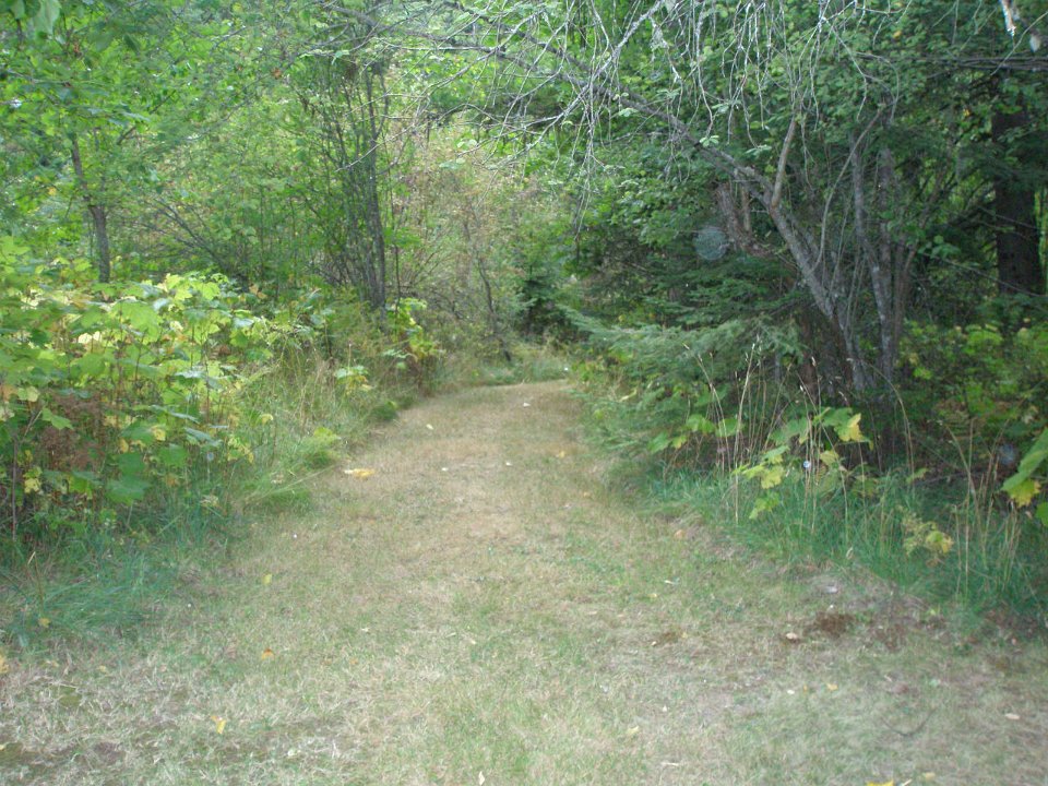 P8313636