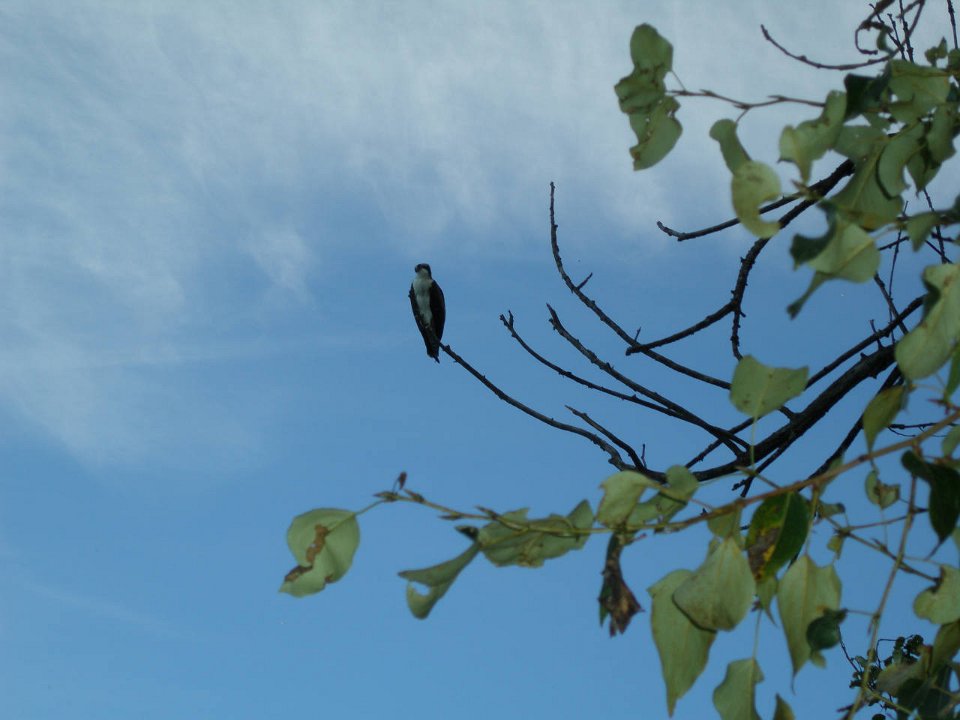 P9013655