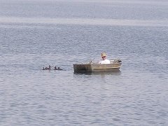 P8273224