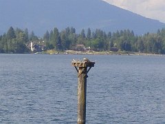 P8273251