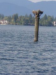P8273253
