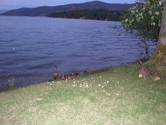 P8273308