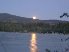P8273332