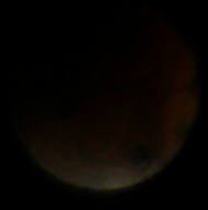 P8283388