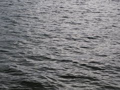 P8313601