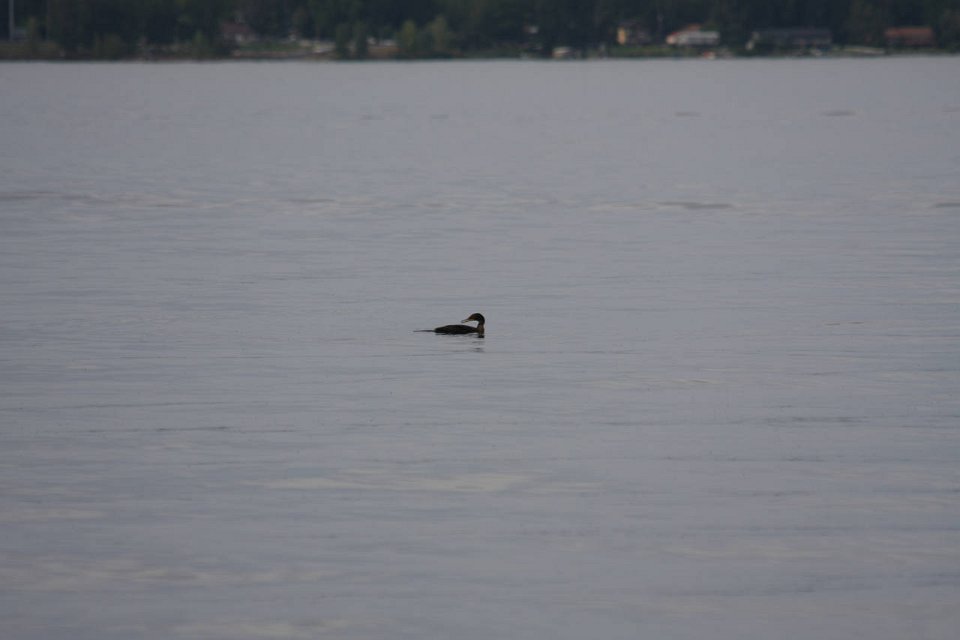 2008 08 24 40D 0009