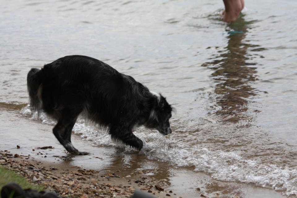 2008 08 24 40D 0016