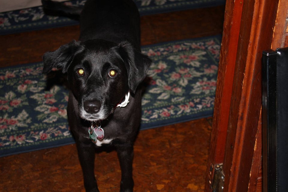 2008 08 24 40D 0060
