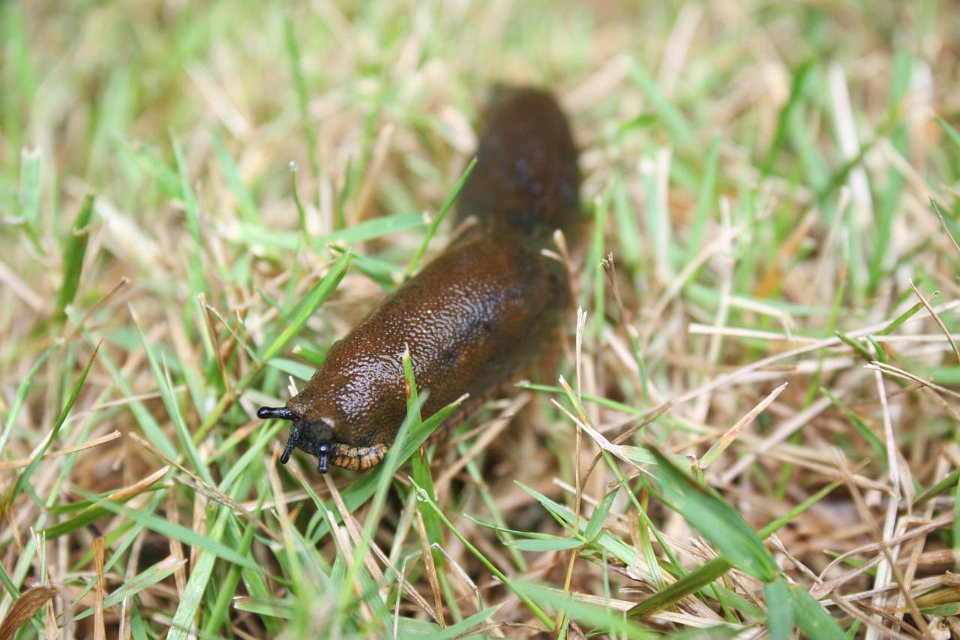 2008 08 25 40D 0093