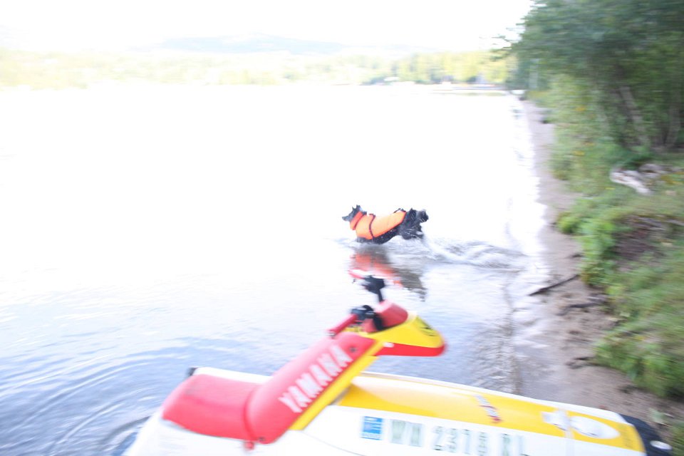2008 08 26 40D 0121