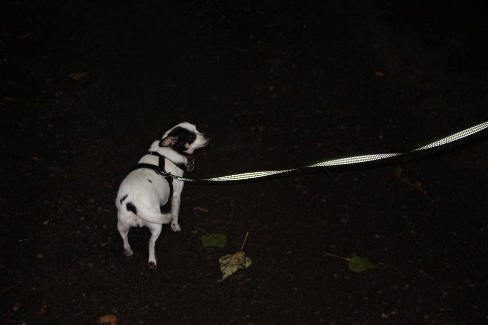 2008 08 28 40D 0179