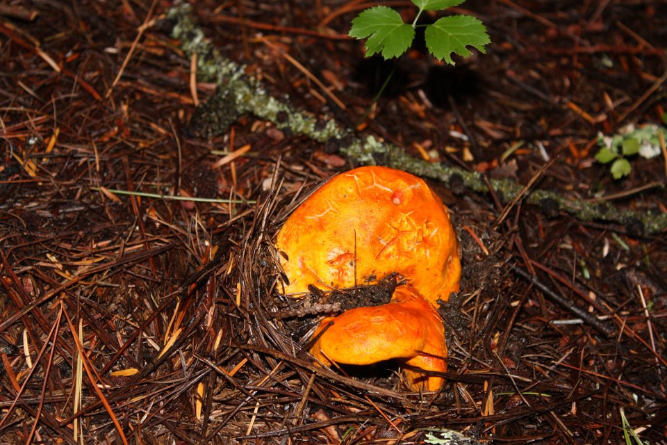 2008 08 28 40D 0192