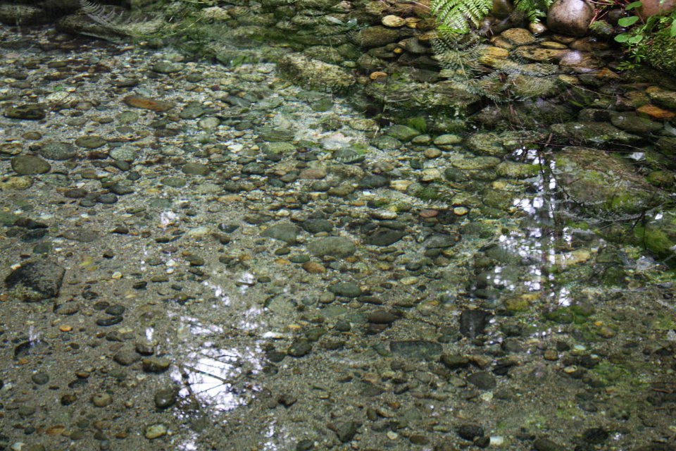 2008 08 28 40D 0197