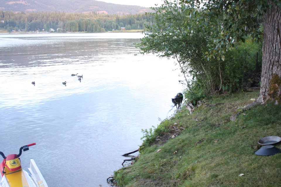 2008 08 28 40D 0234