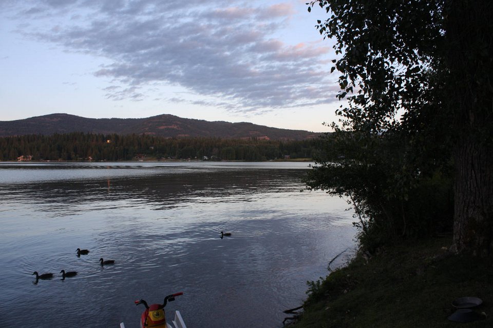 2008 08 28 40D 0241