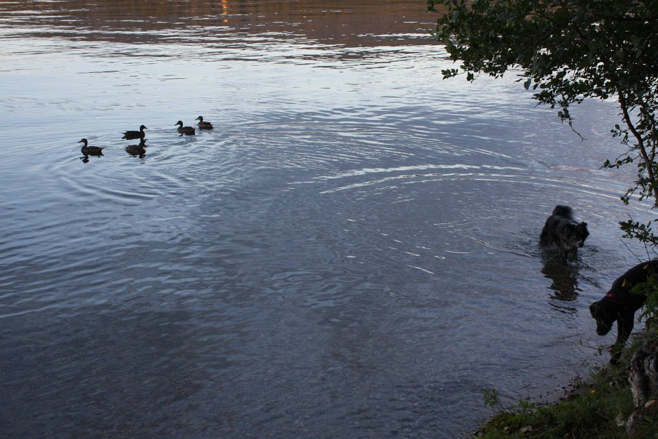 2008 08 28 40D 0247