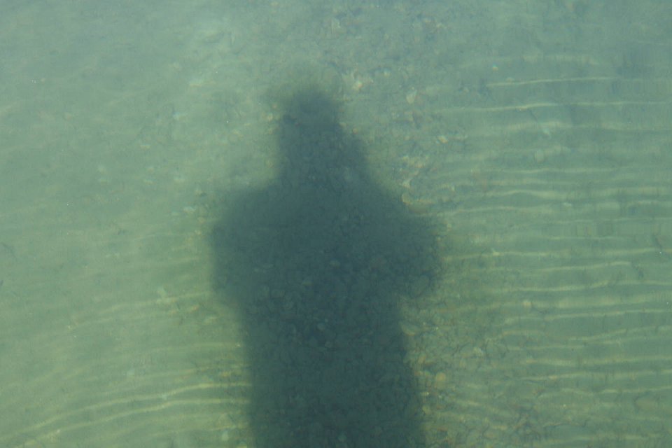 2008 08 29 40D 0277
